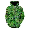 Colourful Flower Leaf 3D Printed Hoodies - Design 05